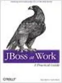 https://evainformatica.es/biblioteca_virtual/manuales/img/jboss_at_work_a_practical_guide.webp